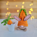Easter Bunny - Crochet Pattern